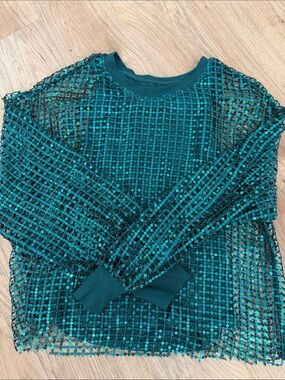 Pilcro Teal Mesh Sequin Long Sleeve Top